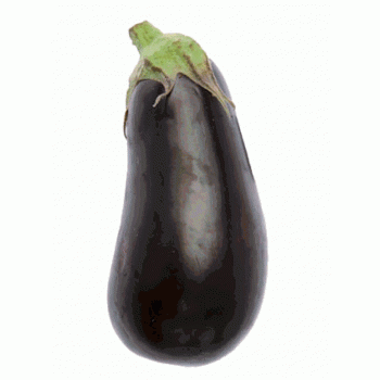 Aubergine