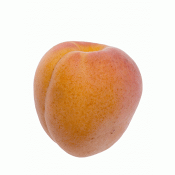 Abricot rouge