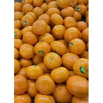 Mandarine nadorcott