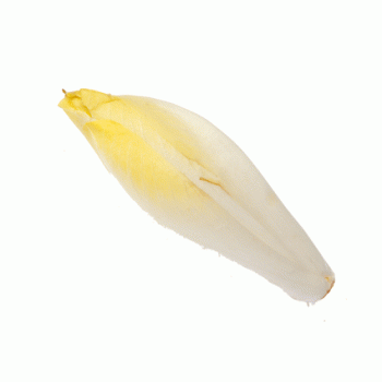 Endive