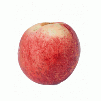 Nectarine blanche
