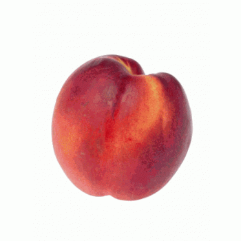 Nectarine jaune