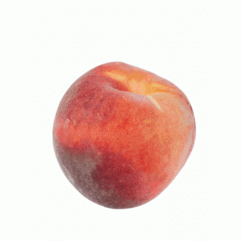 P&ecirc;che plate