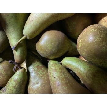 Poire conf&eacute;rence