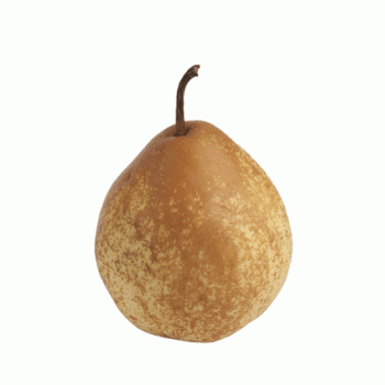 Poire harrow sweet BIO du pays Corrèze