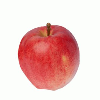 Pomme  royal gala Corrèze