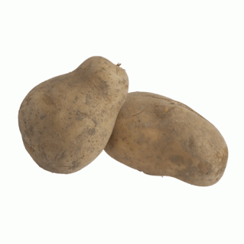 Pomme de terre consommation  ( purée, frites, potage )