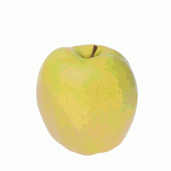 Pomme golden du Pays Corrèze