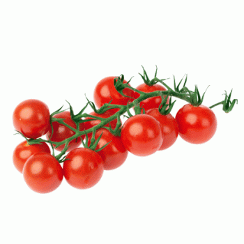 Tomate cerise grappe Divino