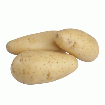 pomme de terre  celtiane (chair ferme)