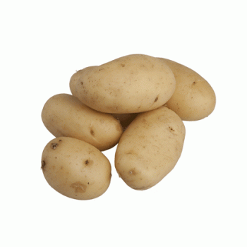 pomme de terre  Ratte du Touquet